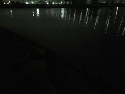 相変わらず小さい ( ˘ω˘ )