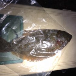 釣れたけどちっちゃ。。けど釣れたのだ!