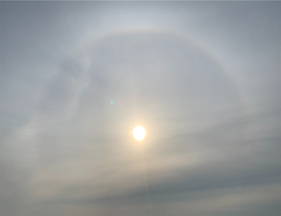 酔いどれガッツ♫