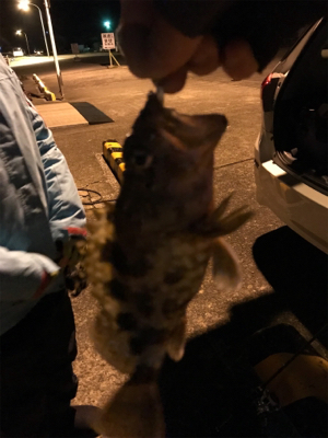 爆風樋島ライトゲーム