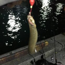 久しぶりの餌釣り