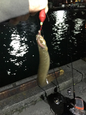 久しぶりの餌釣り