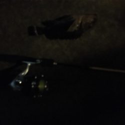 ガシリングゲーム