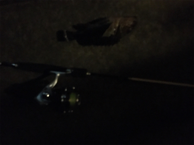 ガシリングゲーム