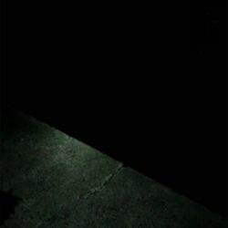 ガシラは裏切らない