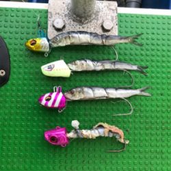 洲本沖  太刀魚