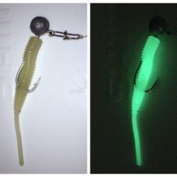 メバルとタッケー