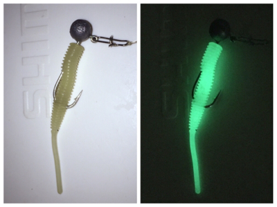 メバルとタッケー