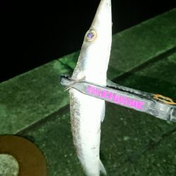 寒さマシのち風で寒い