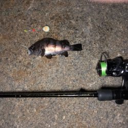 二見メバリング1