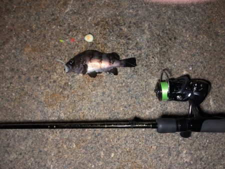 二見メバリング1