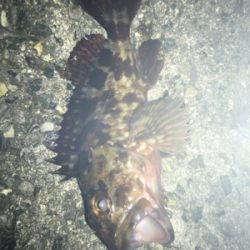 色んなパターンでメバリング