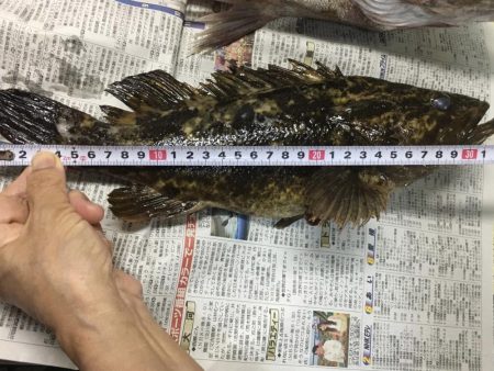 セイゴと尺タケノコメバル