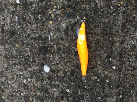 メバリングがチニングに