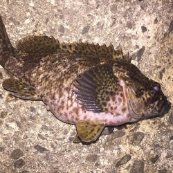 出張先の楽しみ①