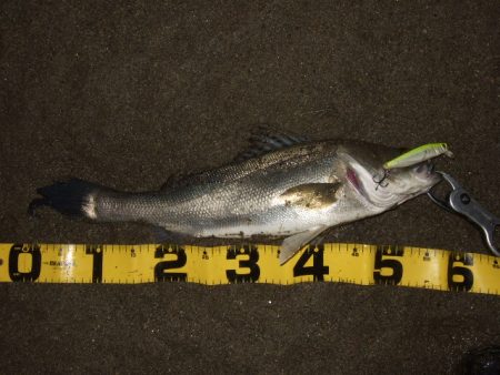 真冬から春のパターンへ