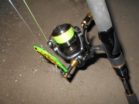 理想のタイミングでランカーゲット♪