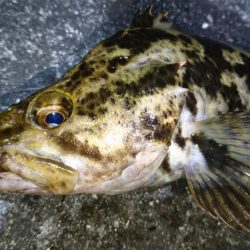 仕事帰りにちょっとだけ