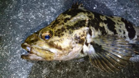 仕事帰りにちょっとだけ