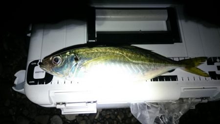 フロートアジング～