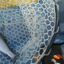 としまえんフィッシングエリア