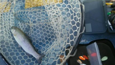 としまえんフィッシングエリア