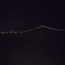 ポツポツとメバル