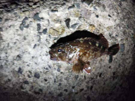 苦戦ライトゲーム