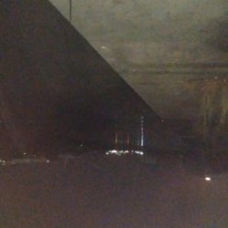 ナイトルアーフィッシング　シーバス