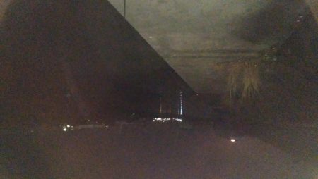 ナイトルアーフィッシング　シーバス