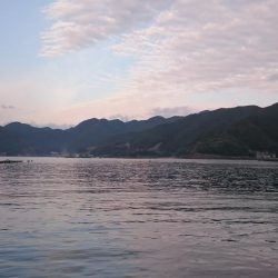 どーしても食べ比べたい