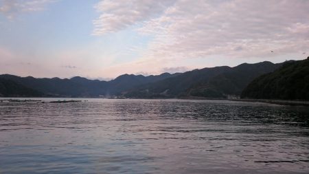 どーしても食べ比べたい