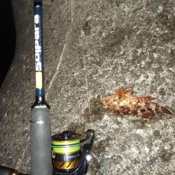 春はまだ告げられず・・・