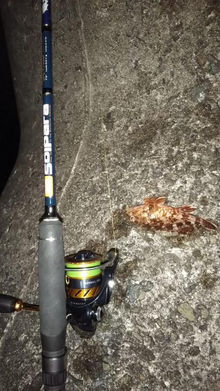 春はまだ告げられず・・・