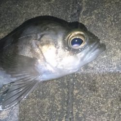 仕事帰りに少しだけ