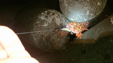 ガッシーも厳しい‼️