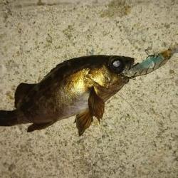 いつもの場所で