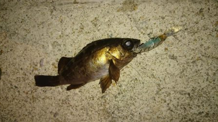 いつもの場所で