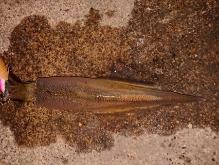 好状況ながら渋い