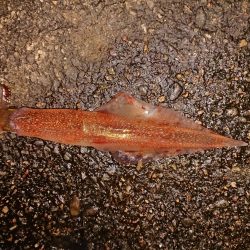 厳しくなりました