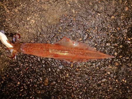 厳しくなりました