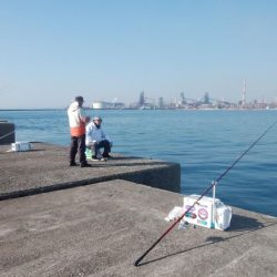 播磨新島でキス釣り