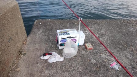 播磨新島で良型キスが釣れました