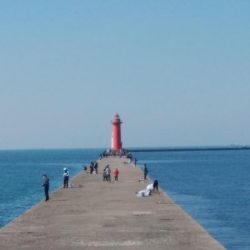 今朝も播磨新島へキス釣査