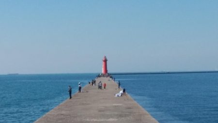 今朝も播磨新島へキス釣査