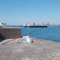 播磨新島でキス釣り