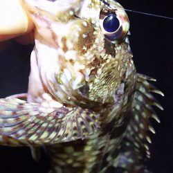 久しぶりに釣り。