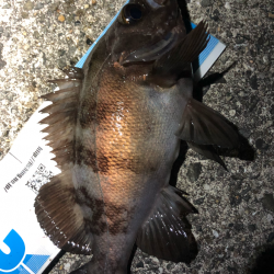 サイズはgood、数はbad。