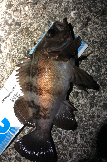 サイズはgood、数はbad。