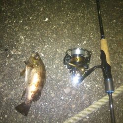 いつもと違う場所で…